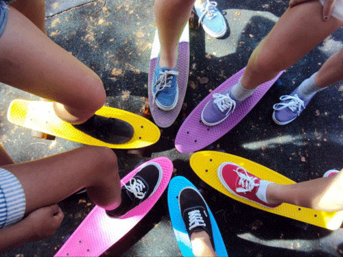 Penny Board Skateboard 22